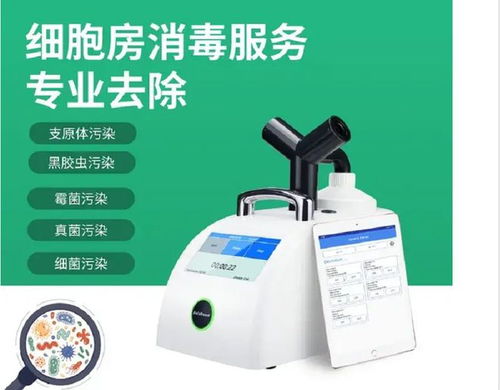 生物實驗室細胞培養(yǎng)間的污染防控與專業(yè)消毒服務